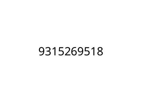 9315269518