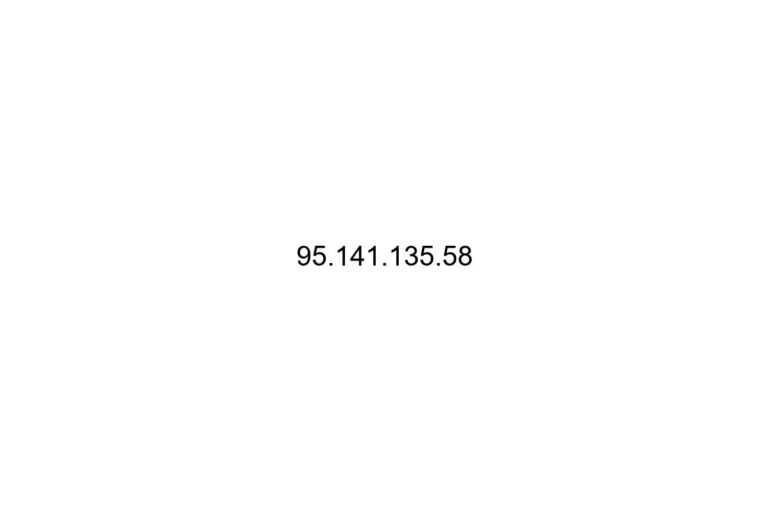 95 141 135 58