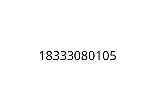 18333080105
