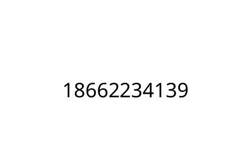 18662234139
