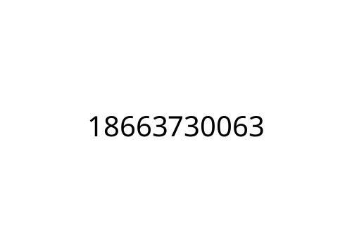 18663730063