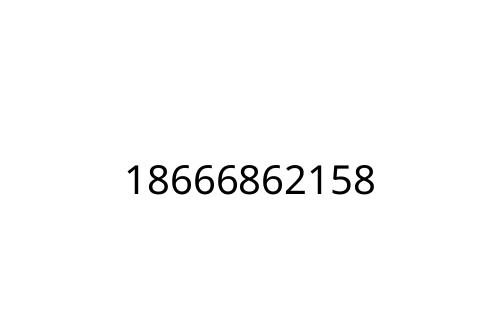 18666862158