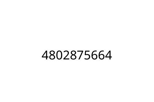 4802875664