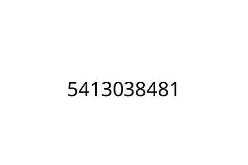 5413038481