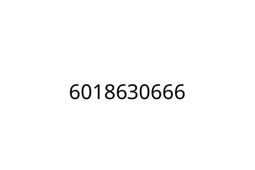 6018630666