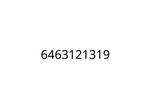 6463121319