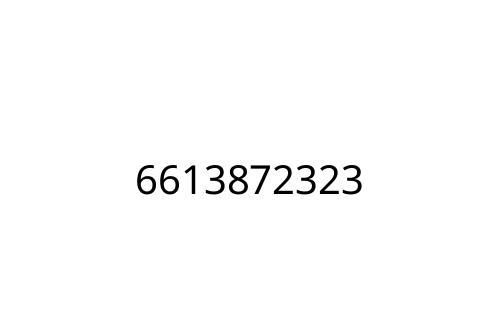 6613872323