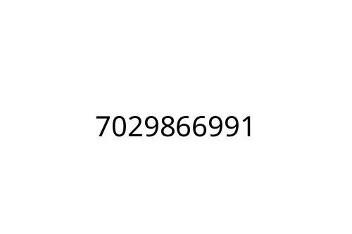 7029866991