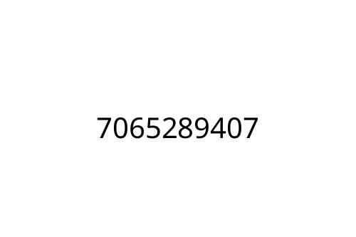 7065289407