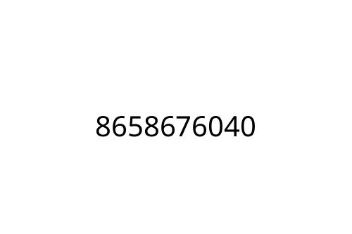 8658676040