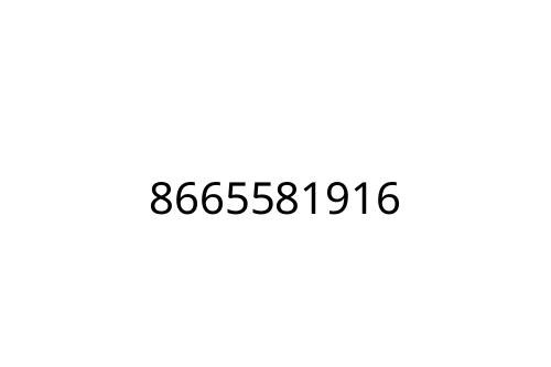 8665581916
