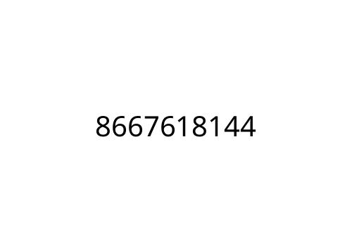 8667618144