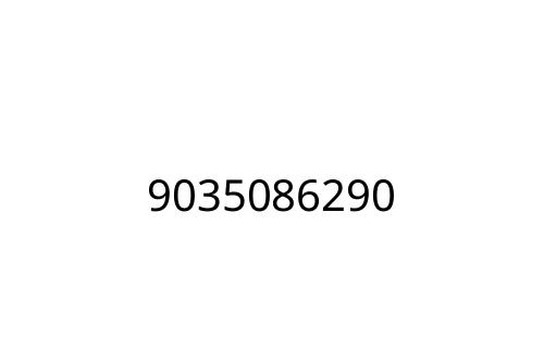 9035086290