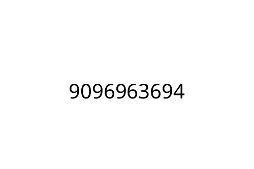 9096963694