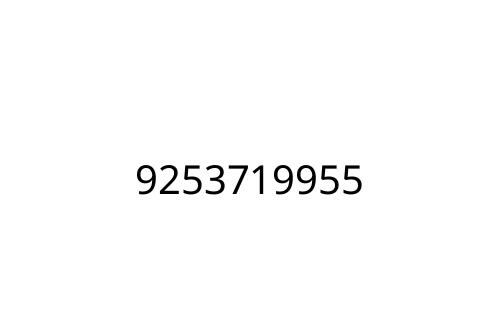 9253719955