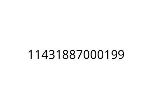 11431887000199
