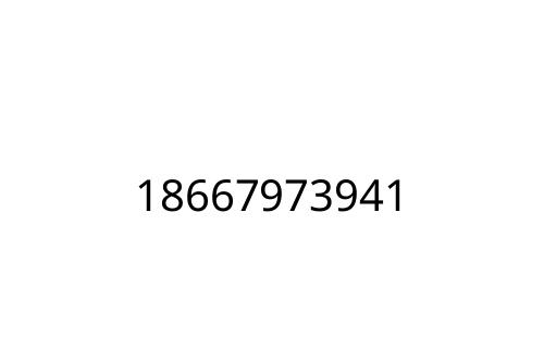 18667973941