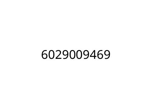6029009469