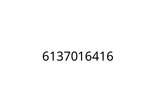 6137016416
