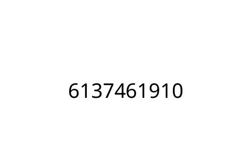 6137461910