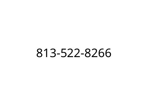 813-522-8266