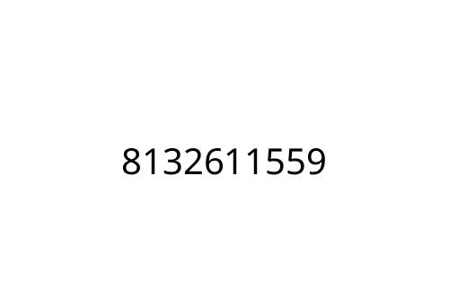 8132611559