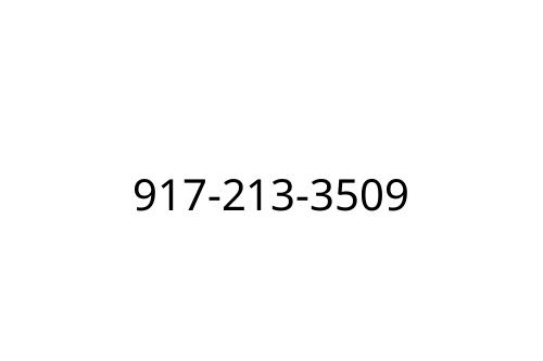 917-213-3509