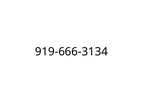 919-666-3134