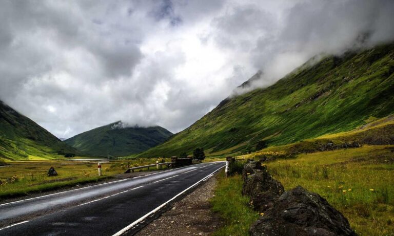 ylixeko food additive pregnancy