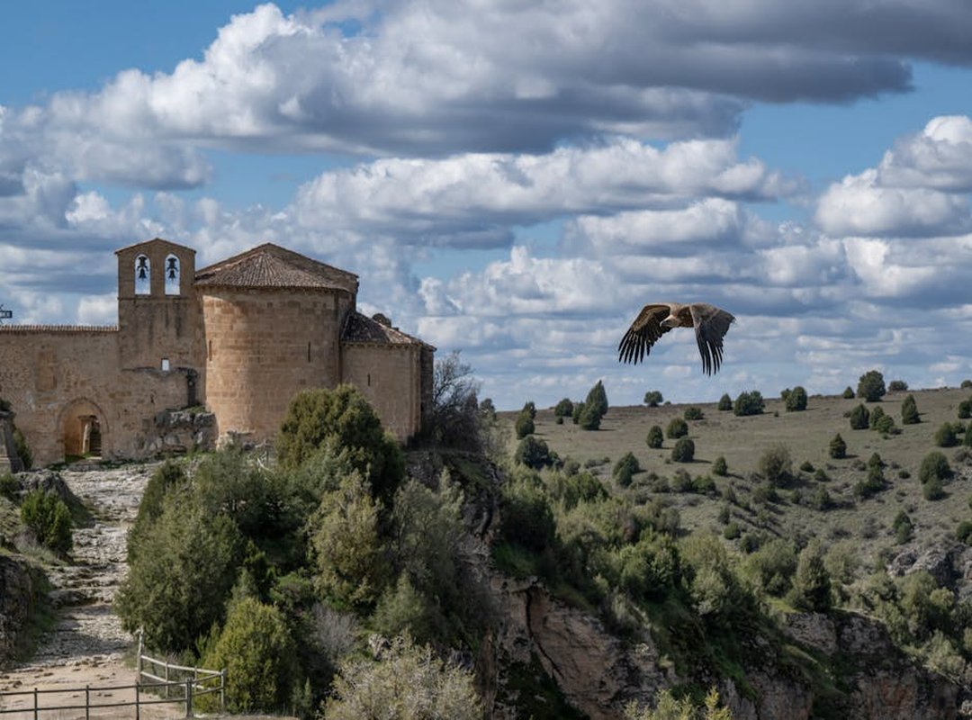 Roles y Dinámicas: Más Allá de Dominante y Sumiso