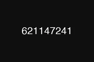621147241