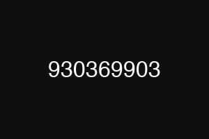 930369903