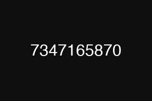 7347165870