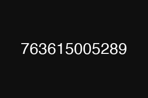 763615005289