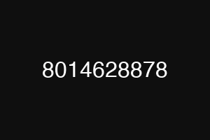 8014628878