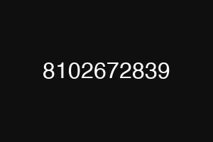 8102672839