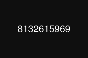 8132615969