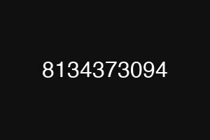 8134373094