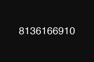 8136166910