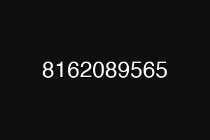 8162089565