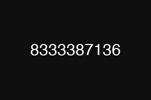 8333387136