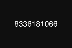8336181066