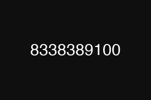 8338389100