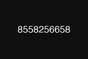 8558256658