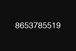 8653785519