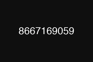8667169059