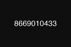 8669010433