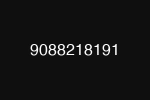 9088218191