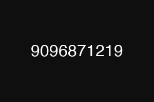 9096871219